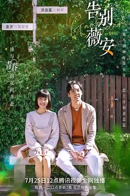 告别薇安 海报