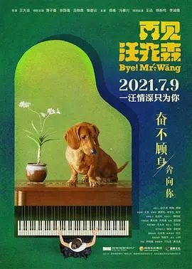 再见汪先森 海报