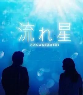 流星2010 海报