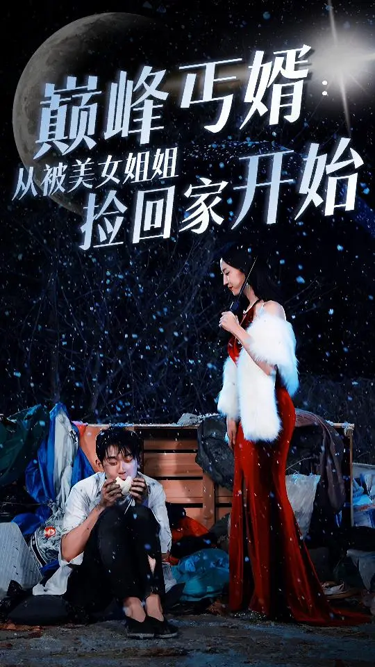巅峰丐婿:从被美女姐姐捡回家开始 海报