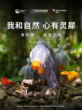 《我和自然 心有灵犀》第四季：共生之地——探寻人与自然和谐共存之道