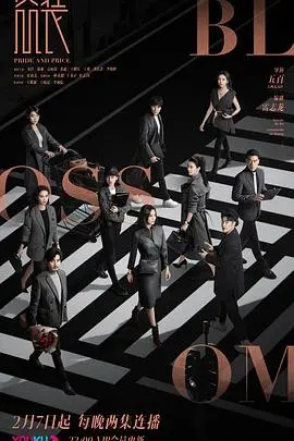 《盛装》：时尚圈的华丽与残酷，职场生存法则大揭秘！谁能问鼎时尚巅峰？