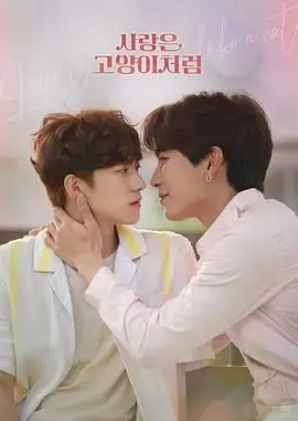 《爱情像猫一样》：都市奇遇记，甜宠与反转交织的猫系爱情故事