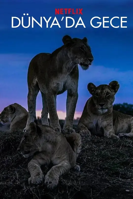 《地球的夜晚》：一部关于黑暗与希望的诗意哲学片，叩问生命与宇宙的终极答案